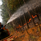 A man battles approaching wildfires in Hualqui, southwest of the Chilean capital, on January 28th, 2017. Image: Esteban Felix/AP